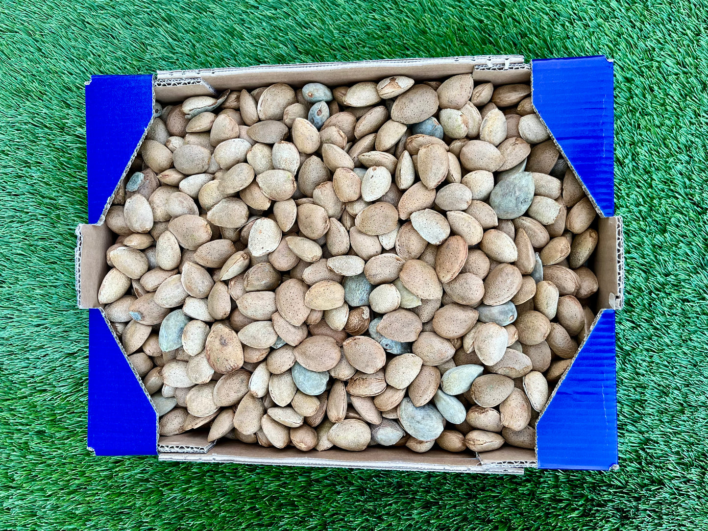 Almendras de Nuestros Agricultores
