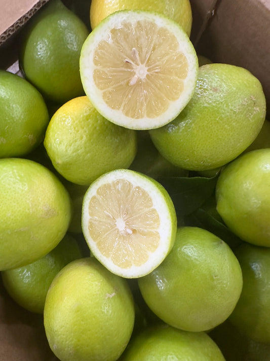 Caja de 4,5kg de Limón de nuestros agricultores