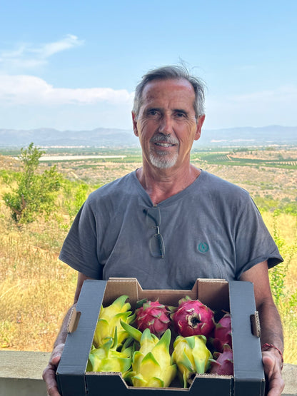 Biologische Pitaya von unseren Landwirten – Kiste mit ca. 3,5 kg