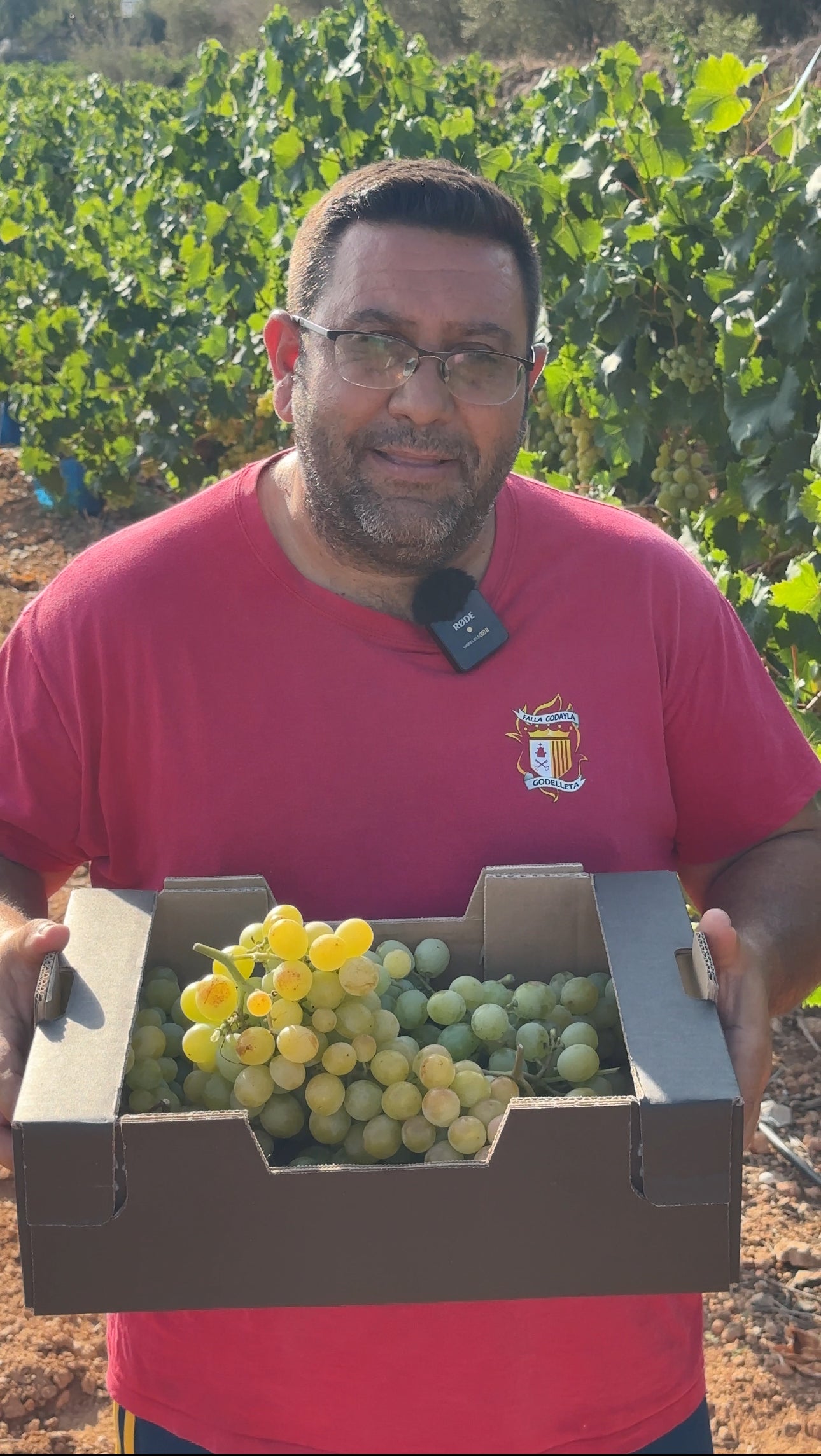 Caja de 3,5kg de Uva Moscatel con Semilla Premium de nuestro agricultor Dámaso