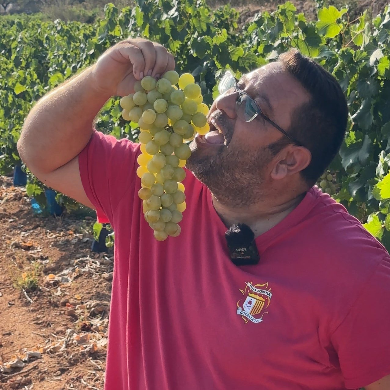 Caja de 3,5kg de Uva Moscatel con Semilla Premium de nuestro agricultor Dámaso