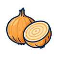 Cebolla