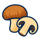 Champiñon Portobello