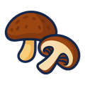 Setas Shiitake
