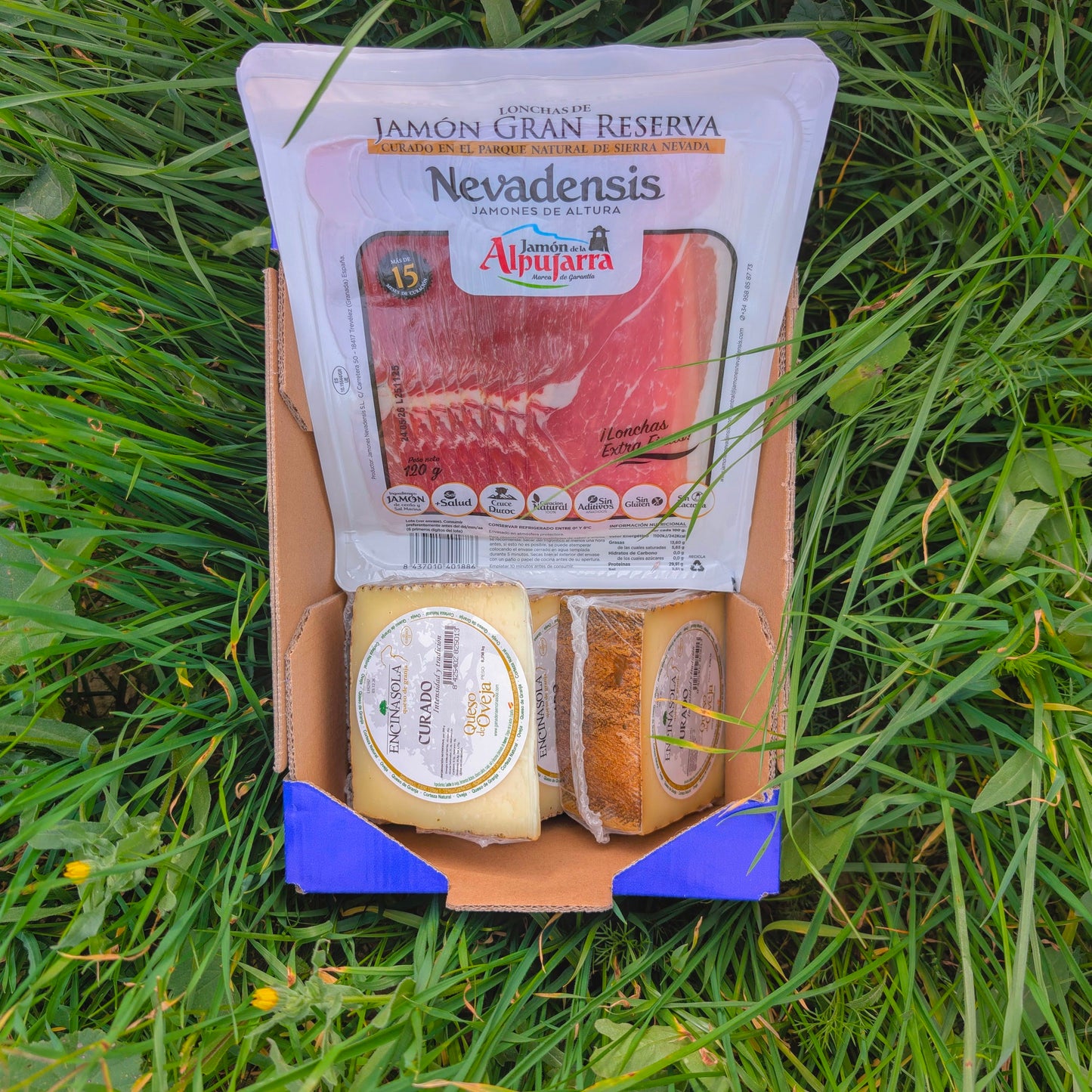 2 cuñas Queso Oveja Curado + 2 bandejas Jamón Gran Reserva