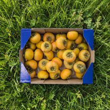 Caqui de Nuestros Agricultores