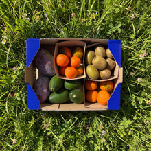 1kg Mango + 1kg Kiwi amarillo + 1 kg Aguacate + 1kg Mandarina