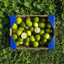 Lima de Nuestros Agricultores