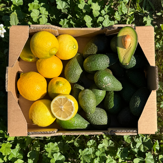 Aguacate y Limón de Nuestros Agricultores - 4kg aprox