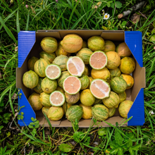 Limón Tigre Orgánico