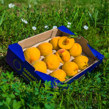 Melocotón Amarillo - 2.5kg