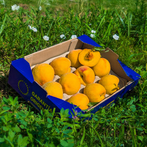 Melocotón Amarillo - 3kg