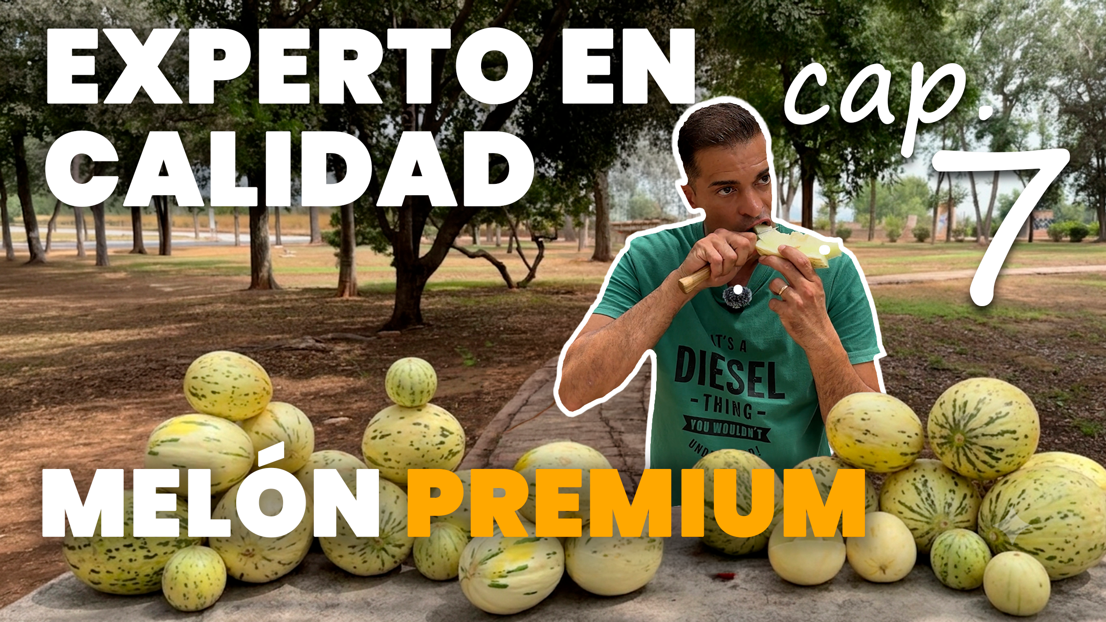 Cargar video: 