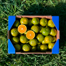 Mandarina de Nuestros Agricultores