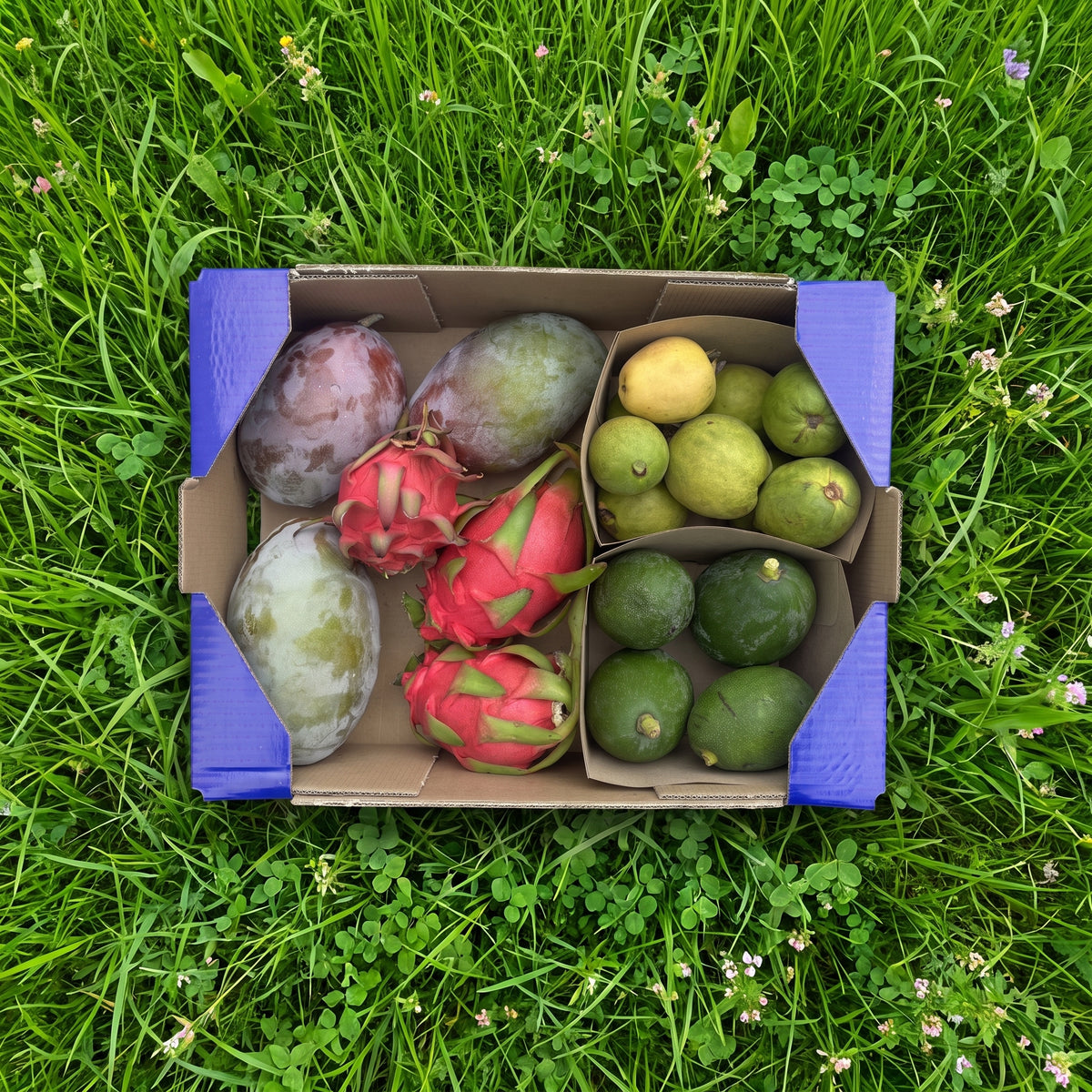 Caja Tropical de Nuestros Agricultores