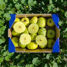 Manzana Esperiega de Nuestros Agricultores