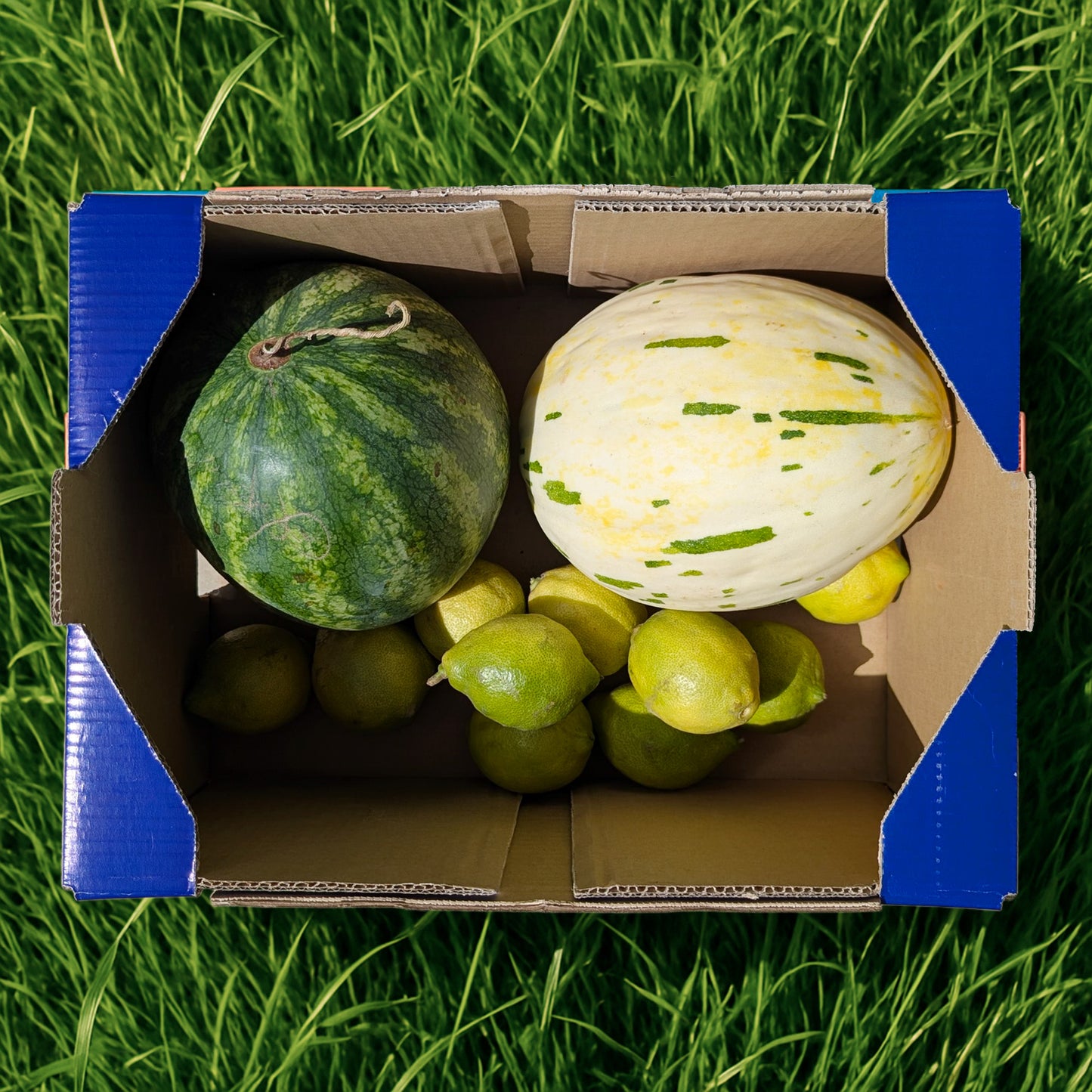 3kg Melón Premium + 2.5kg Sandía + 1kg Limón Ecológicos