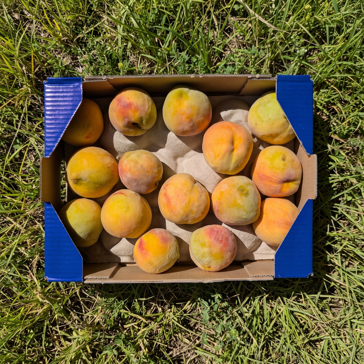 Melocotón Amarillo - 3kg