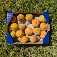 Melocotón Amarillo - 3kg
