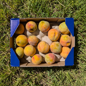 Melocotón Amarillo - 3kg