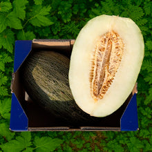 Melón - 7kg