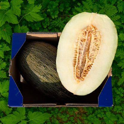 Melón - 7kg