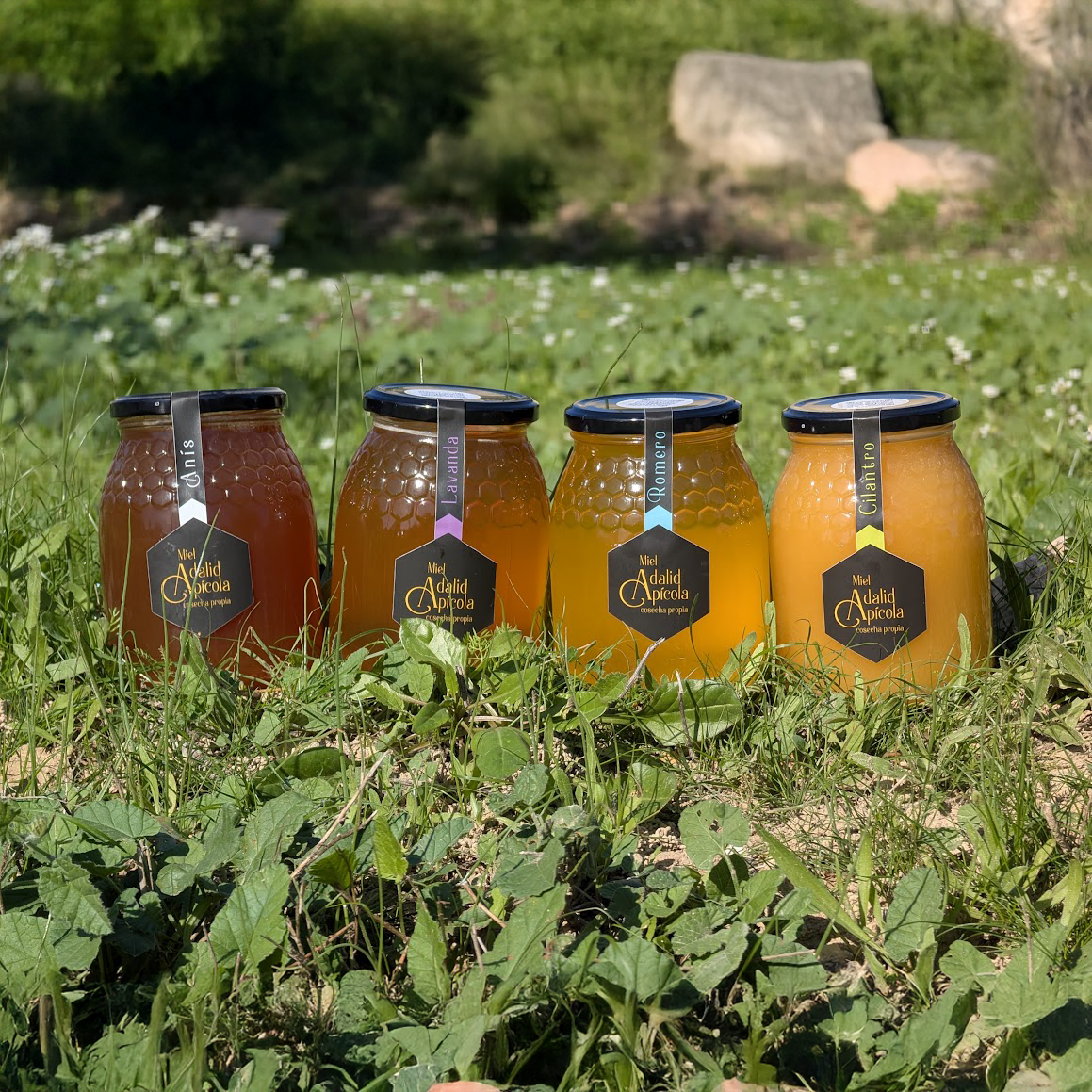 Mieles de Nuestros Apicultores