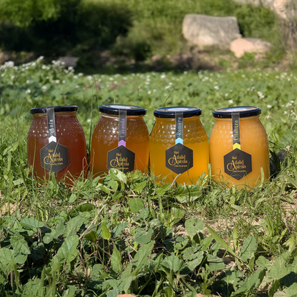 Mieles de Nuestros Apicultores