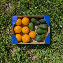 1.5kg Aguacate + 2.5kg Naranja