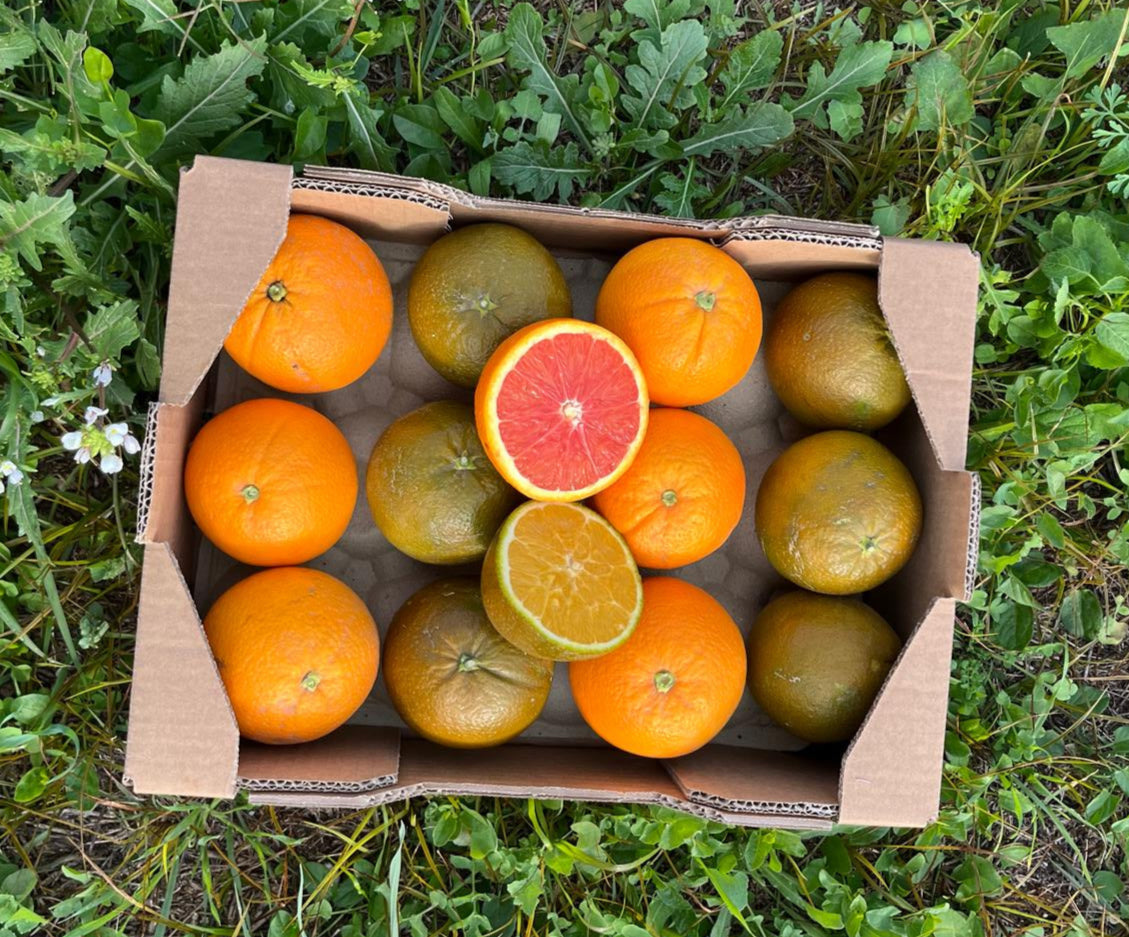 Caja variada de las Naranjas más Exclusivas