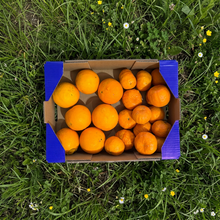 Mandarina y Naranja de Nuestros Agricultores