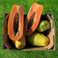 Papaya de Nuestros Agricultores