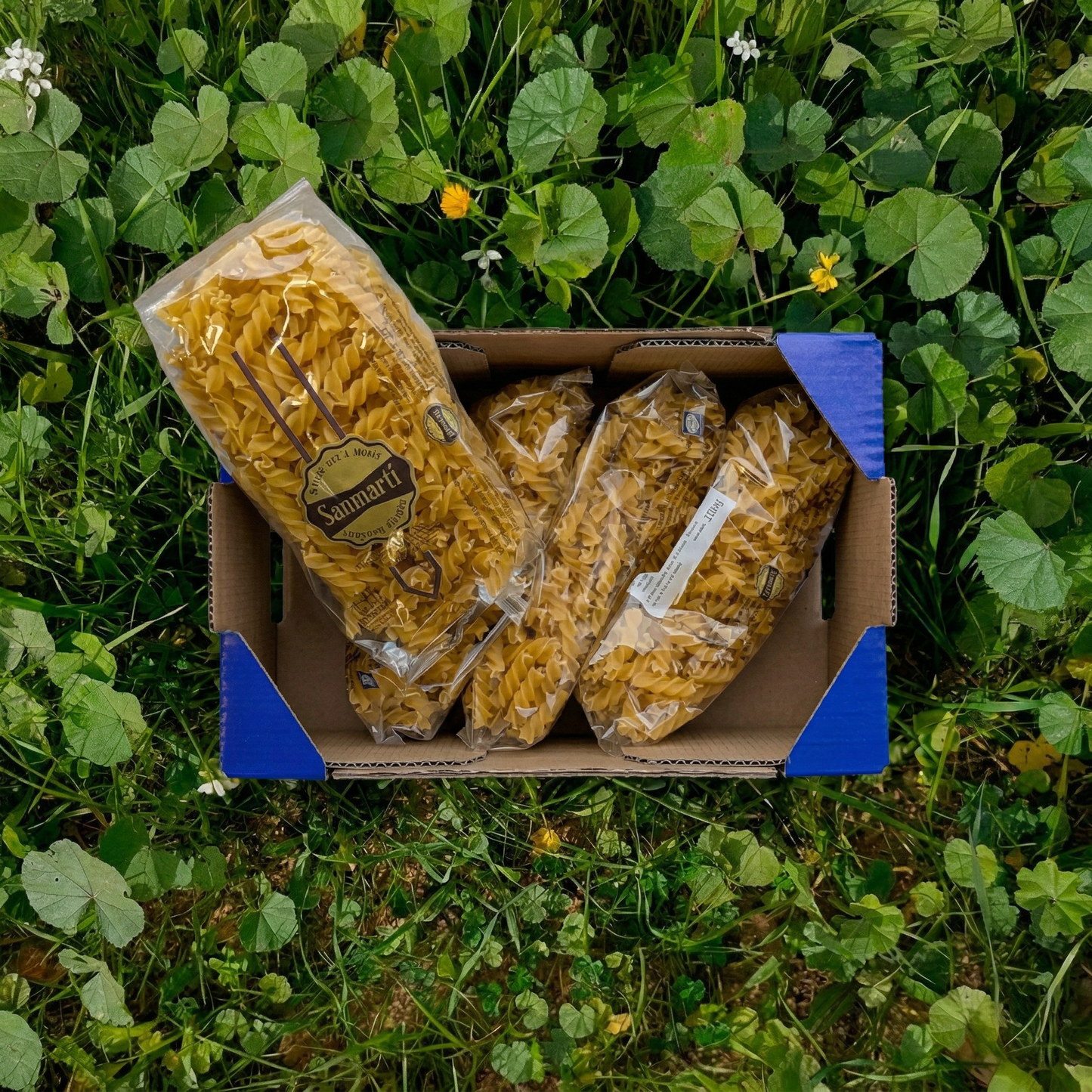 Pastas Artesanas