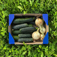 2kg Calabacín + 1.5kg Pepino + 1kg Cebolla Tierna