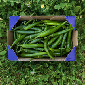 ["Pimiento Verde Picante"]