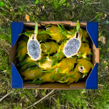 Pitaya Ecológica Amarilla de Nuestros Agricultores