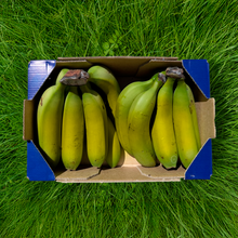 Plátanos de Nuestros Agricultores