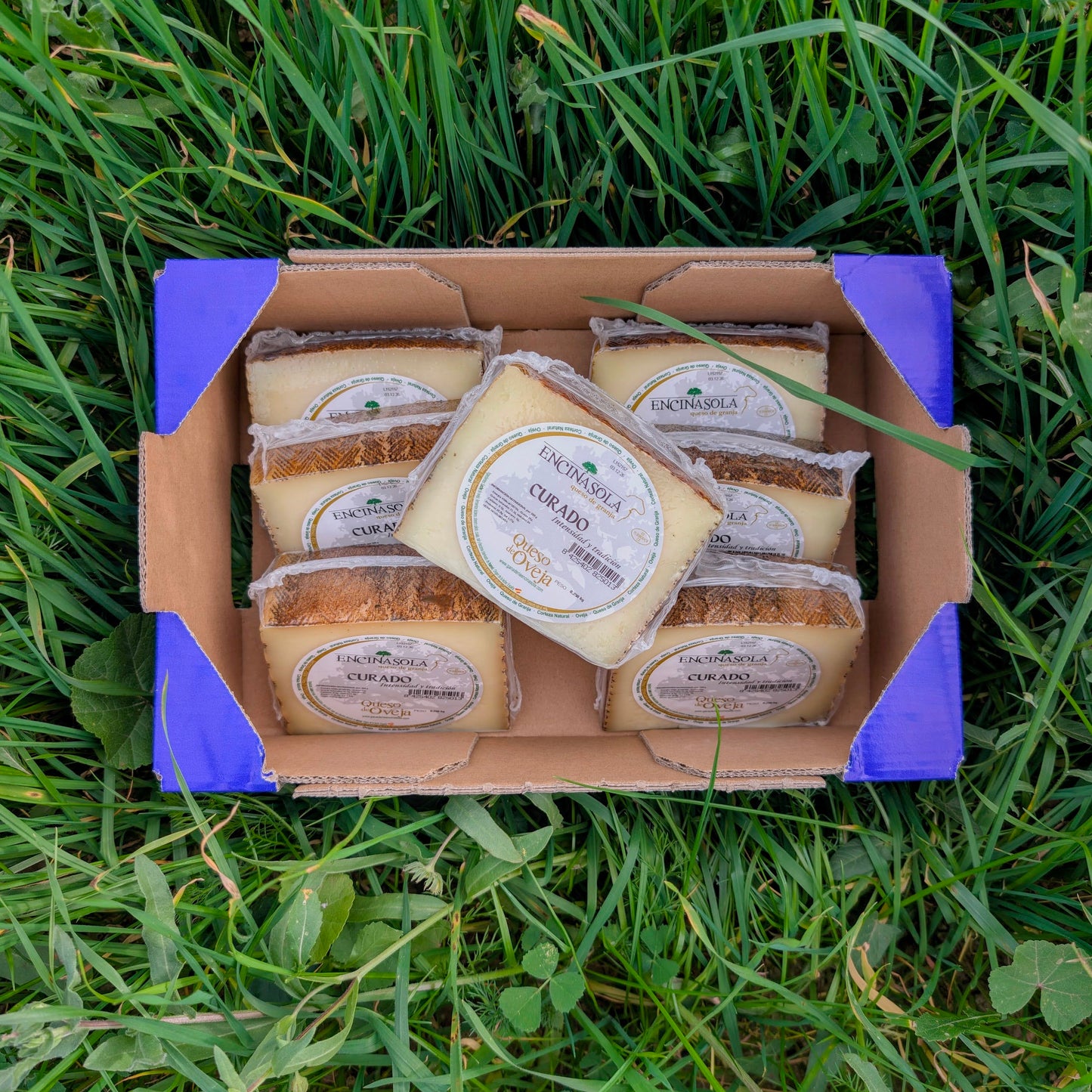 Queso de Oveja Curado