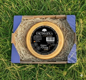 Queso Oveja Curado