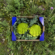Romanesco de Nuestros Agricultores - 2uds