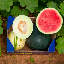 1.8kg Melón + 7.5kg Sandía Ecológicos