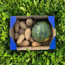 Sandía + Patata - 9kg