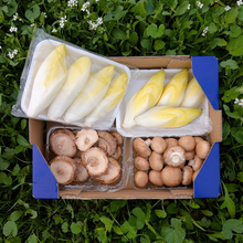 Endivia + Champiñones Portobello + Setas Shiitake