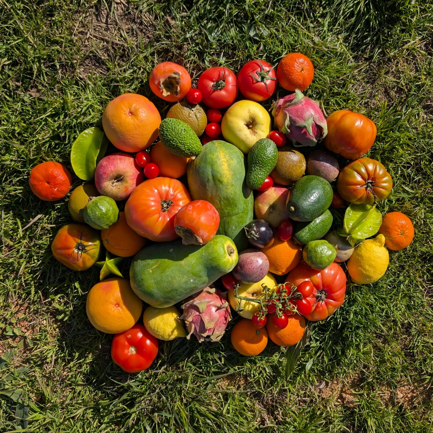 Caja de Fruta de Temporada de Nuestros Agricultores