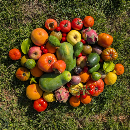 Caja de Fruta de Temporada de Nuestros Agricultores