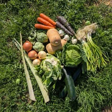 Caja de Verdura de Temporada de Nuestros Agricultores