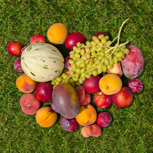 Caja de Fruta de Temporada de Nuestros Agricultores