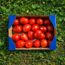 Tomate Pera de Nuestros Agricultores
