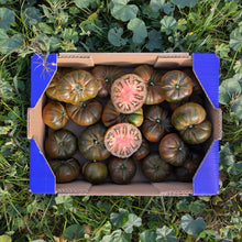 Tomate Raf de Nuestros Agricultores