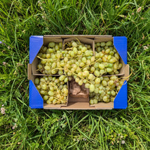 Uva sin Semilla Ecológica